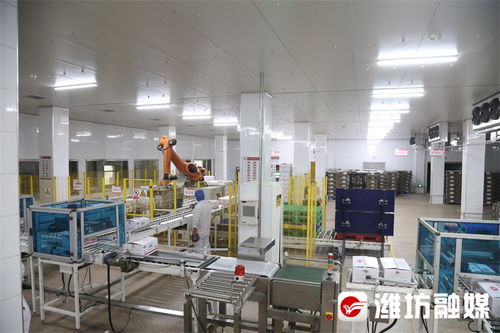 濰觀 濰坊設(shè)施農(nóng)業(yè)發(fā)展 高分卷 詳解