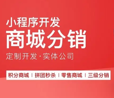 濰坊地區綜合類電商購物商城開發定制