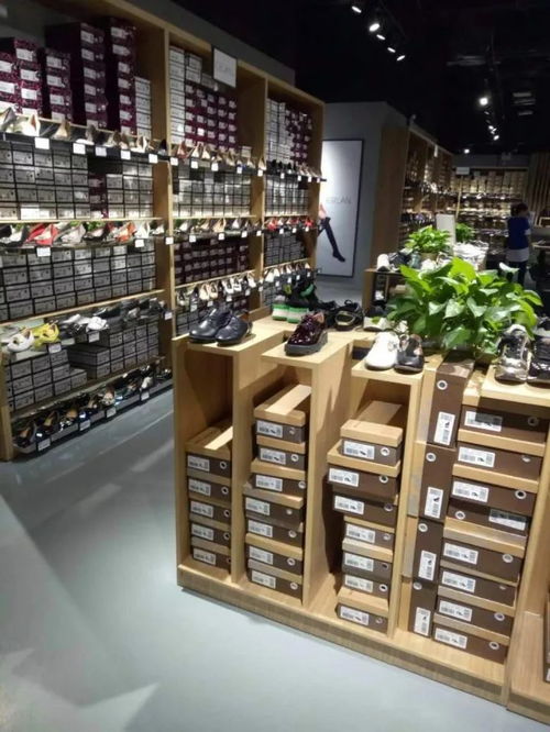 一起喜迎新年,開啟新履程