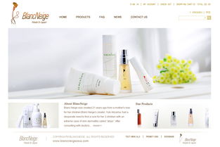 跨境電商商城網(wǎng)站建設制作解決方案與主要功能明細介紹