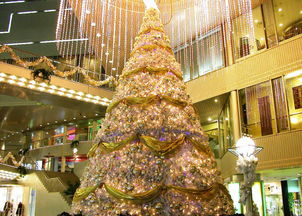 圣誕節快樂 互生升分享