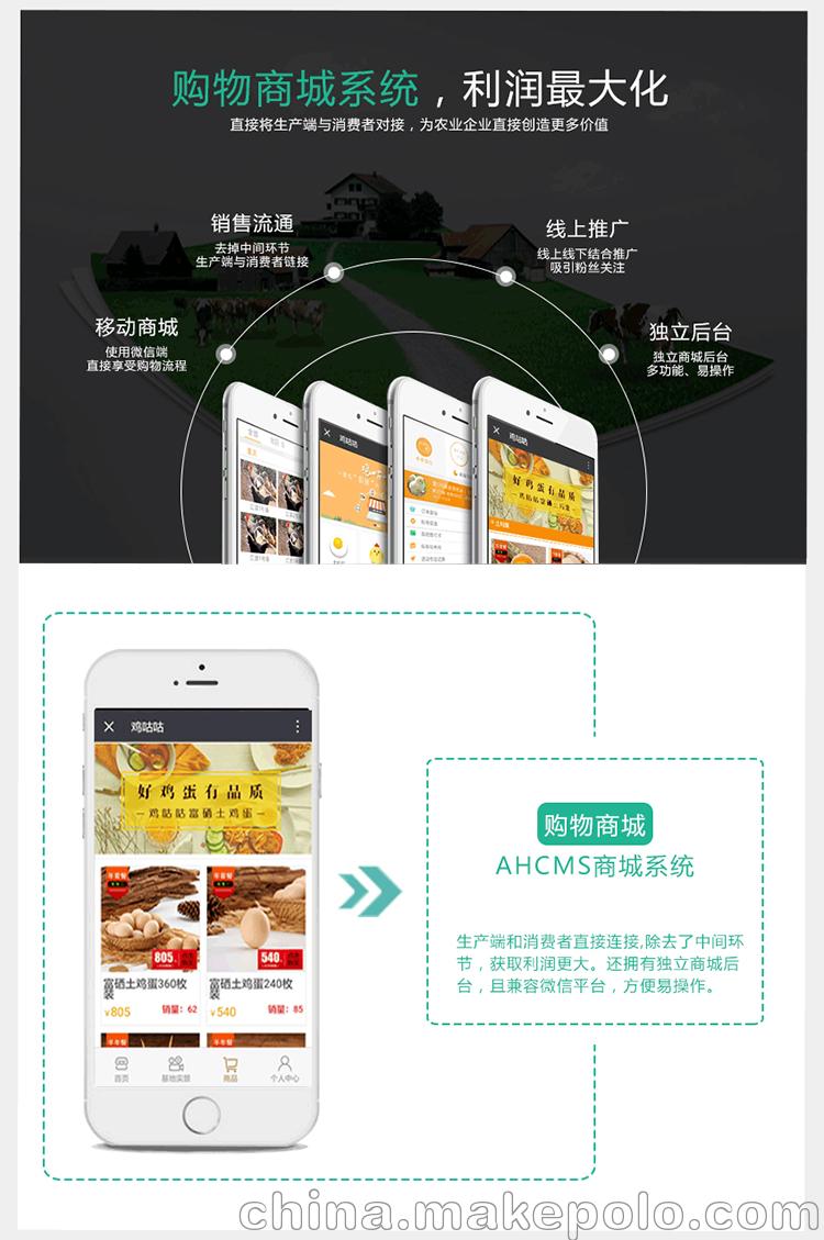 眾牧寶、智慧農業系統源碼、互聯網養殖、養殖眾籌、定制開發